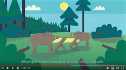 Infovideo f&ouml;r j&auml;gare om afrikansk svinpest.