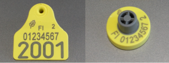 Combi 3000 Mini + E24.