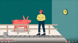 Infovideo f&ouml;r svinfarmare om misstanke om ASF.