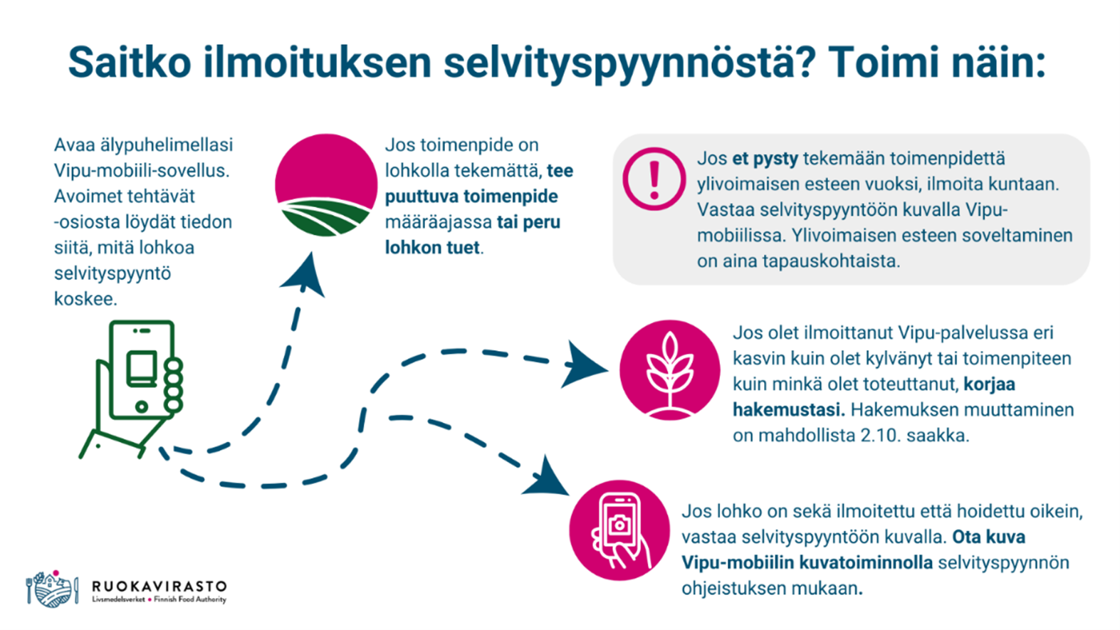 Ohjekuva selvityspyynnöstä, vastaavat tiedot kuvan alla