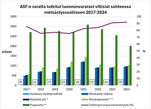 ASF:n varalta tutkitut luonnonvaraiset villisiat suhteessa mets&auml;styssaaliiseen 2017-2024