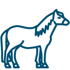 Muu elintarviketuotantoel&auml;in