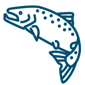 Vesiviljelyel&auml;imet