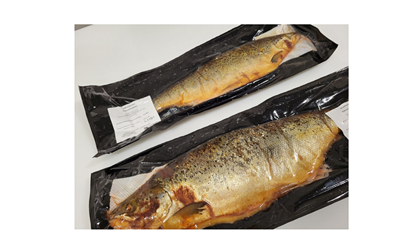 Ler&oslash;y savulohi vakuumipakattu