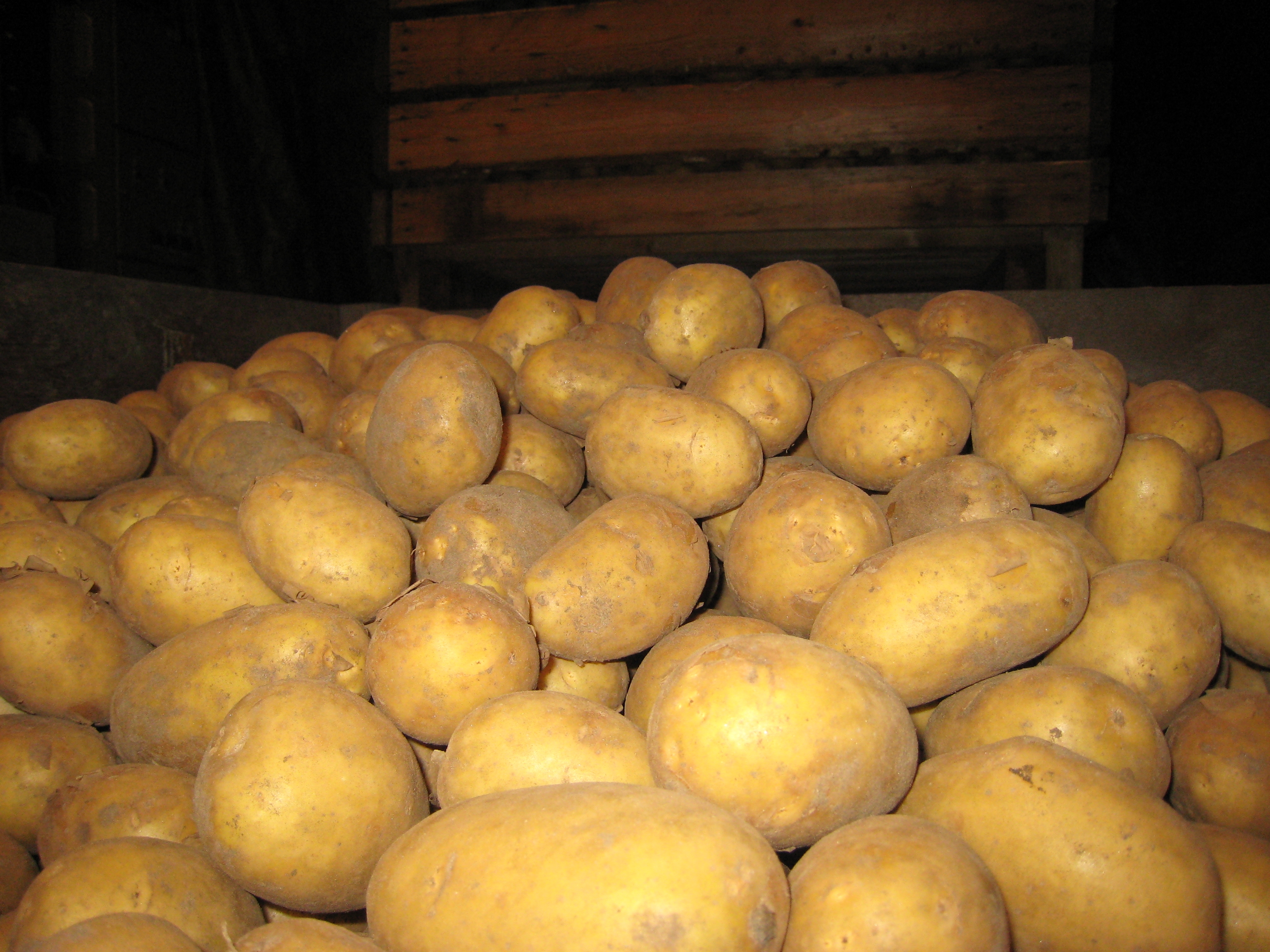 Mukuloita laatikossa