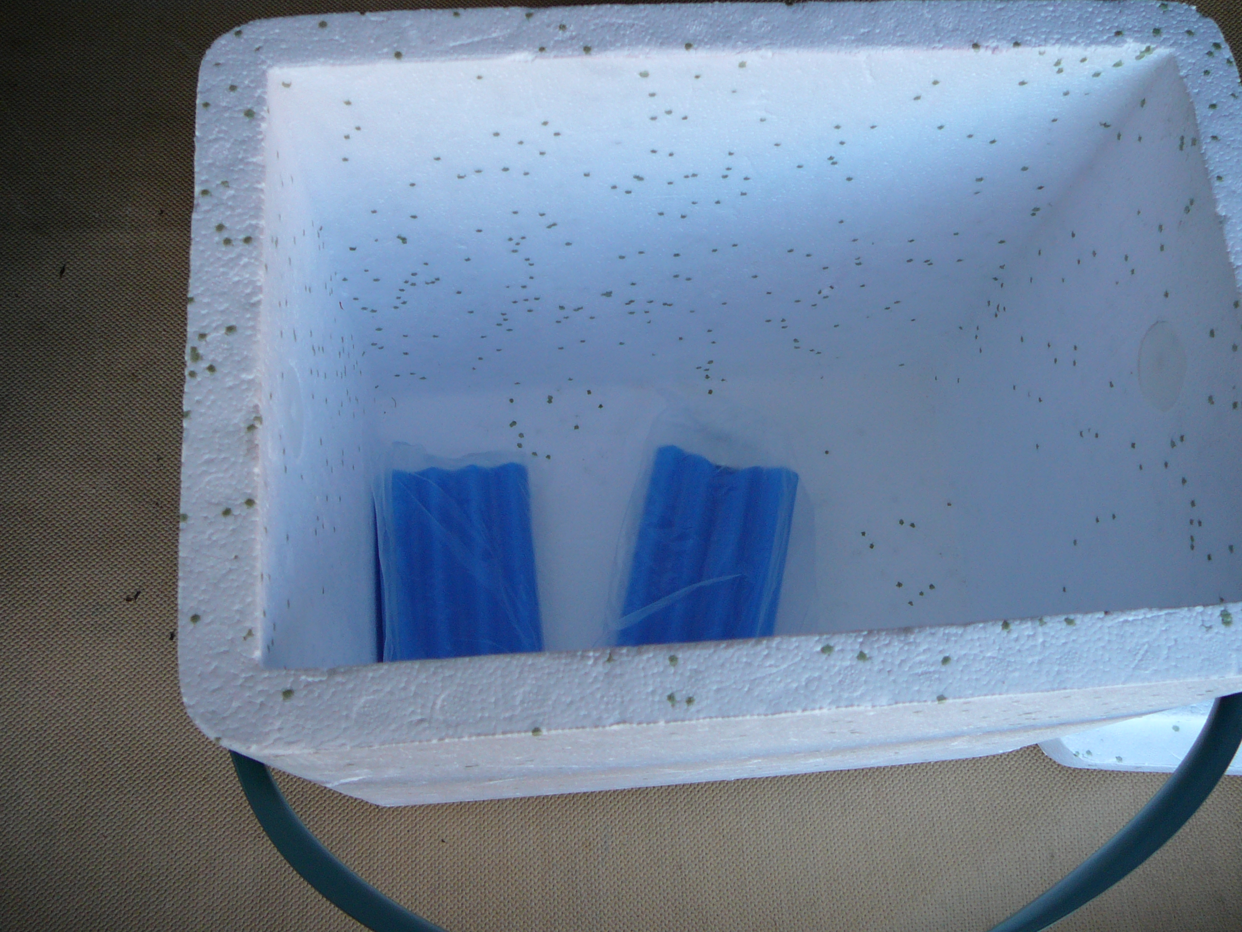 Packa ner provet i en kylv&auml;ska. Tills&auml;tt kylklampar och vid behov fyllnadsmedel.