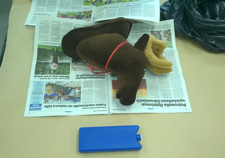 Hirviel&auml;imen p&auml;&auml; k&auml;&auml;rit&auml;&auml;n ensin runsaaseen (sanomalehti)paperiin, joka imee mahdollisesti valuvat nesteet. Paperi- tai muu k&auml;&auml;r&ouml; pakataan viel&auml; ainakin kahteen ehj&auml;&auml;n muovipussiin.