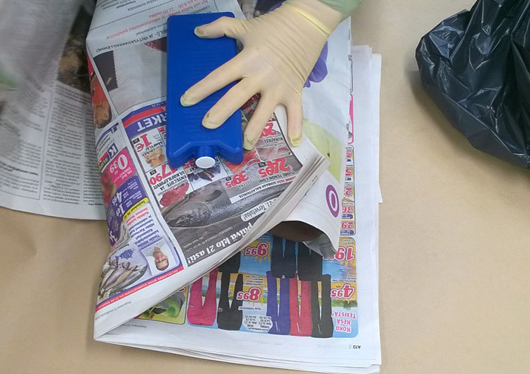 Pussiin voi laittaa l&auml;mpim&auml;n&auml; vuodenaikana kylm&auml;varaajia n&auml;ytteen s&auml;ilymisen parantamiseksi.&nbsp;Eduksi on, jos p&auml;&auml; on ennen pakkausta saatu j&auml;&auml;htym&auml;&auml;n mahdollisimman l&auml;helle 0 &deg;C.