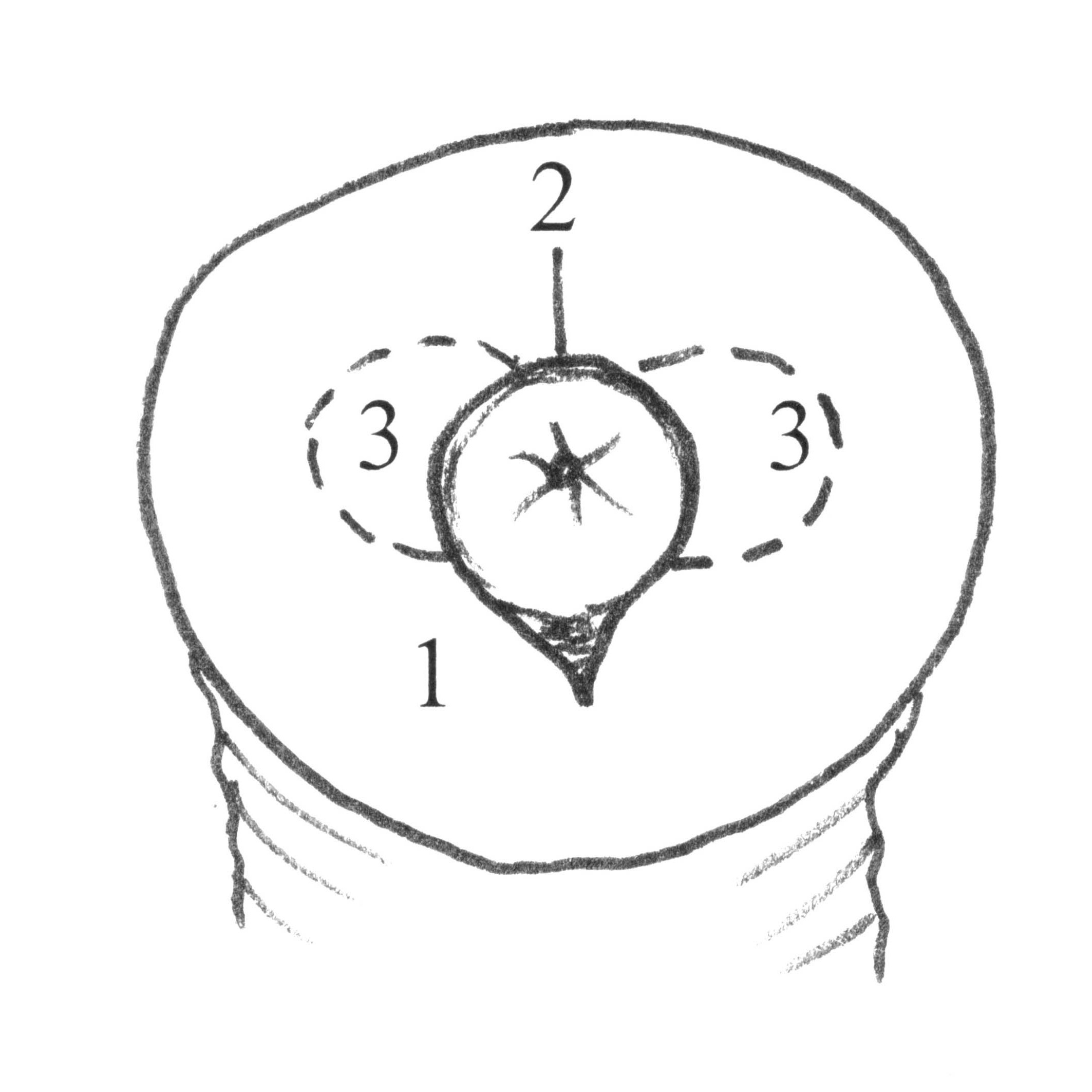 Kuvassa CEM-n&auml;ytteenottopaikat oriista