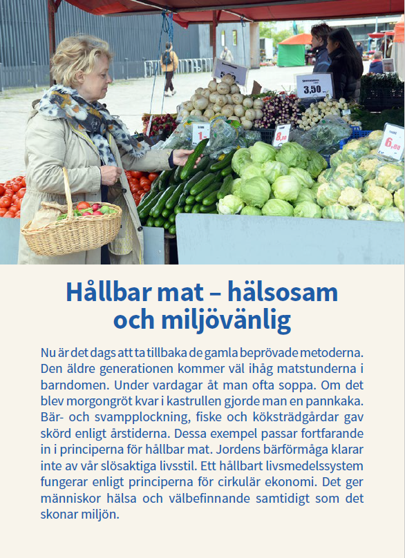 H&aring;llbar mat guide