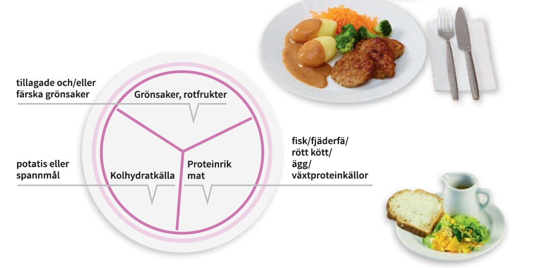Tallriksmodellen f&ouml;r &auml;ldre best&aring;r av en tallrik som &auml;r uppdelad i tre delar. 1/3 &auml;r proteinhaltig mat s&aring;som kyckling, fisk, k&ouml;tt eller vegetabiliska proteink&auml;llor, 1/3 gr&ouml;nsaker och 1/3 potatis eller spannm&aring;lstillbeh&ouml;r. Till tallriksmodellen h&ouml;r dessutom m&aring;ltidsdryck, br&ouml;d med bredbart vegetabiliskt fett, f&auml;rska vegetabiliska tillbeh&ouml;r och en salladsdressing samt en efterr&auml;tt som inneh&aring;ller frukt eller b&auml;r.