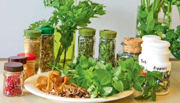 P&aring; bilden visas olika kryddor och &ouml;rter p&aring; burk och som f&auml;rska, med vilka du kan ers&auml;tta salt i matlagningen.