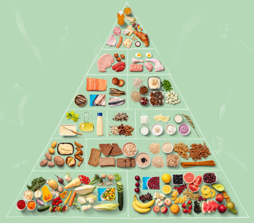 Ruokapyramidissa ruoka-aineet on ryhmitelty pyramidin eri tasoille suositeltavan k&auml;ytt&ouml;m&auml;&auml;r&auml;n ja k&auml;ytt&ouml;tiheyden mukaan. Pohjalla olevia sy&ouml;d&auml;&auml;n runsaasti ja p&auml;ivitt&auml;in, huipulta v&auml;hemm&auml;n ja harvoin. Ruokapyramidin perustan muodostavat kasvikset, hedelm&auml;t ja marjat. Seuraavan pyramidissa ovat t&auml;ysjyv&auml;viljavalmisteet ja peruna. N&auml;iden yl&auml;puolella ovat ravintorasvat, p&auml;hkin&auml;t ja siemenet sek&auml; maitotuotteet. Seuraavana kala ja palkokasvit. Toisiksi ylimp&auml;n&auml; ovat punainen liha, siipikarjan liha ja kananmunat ja ylimp&auml;n&auml; sattumat, joita tulisi sy&ouml;d&auml; v&auml;h&auml;n ja harvoin.