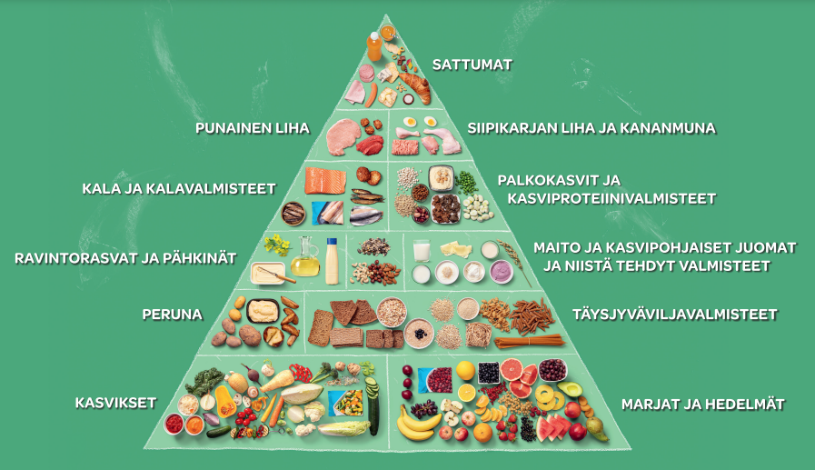 Ruokapyramidi_selke&auml;t tekstit.png