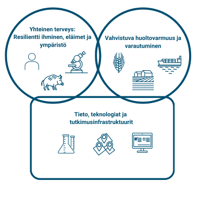 Tutkimusohjelman painopisteet.png