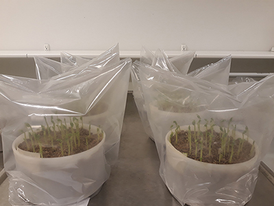 __netti_Herne it&auml;m&auml;ss&auml;.jpg