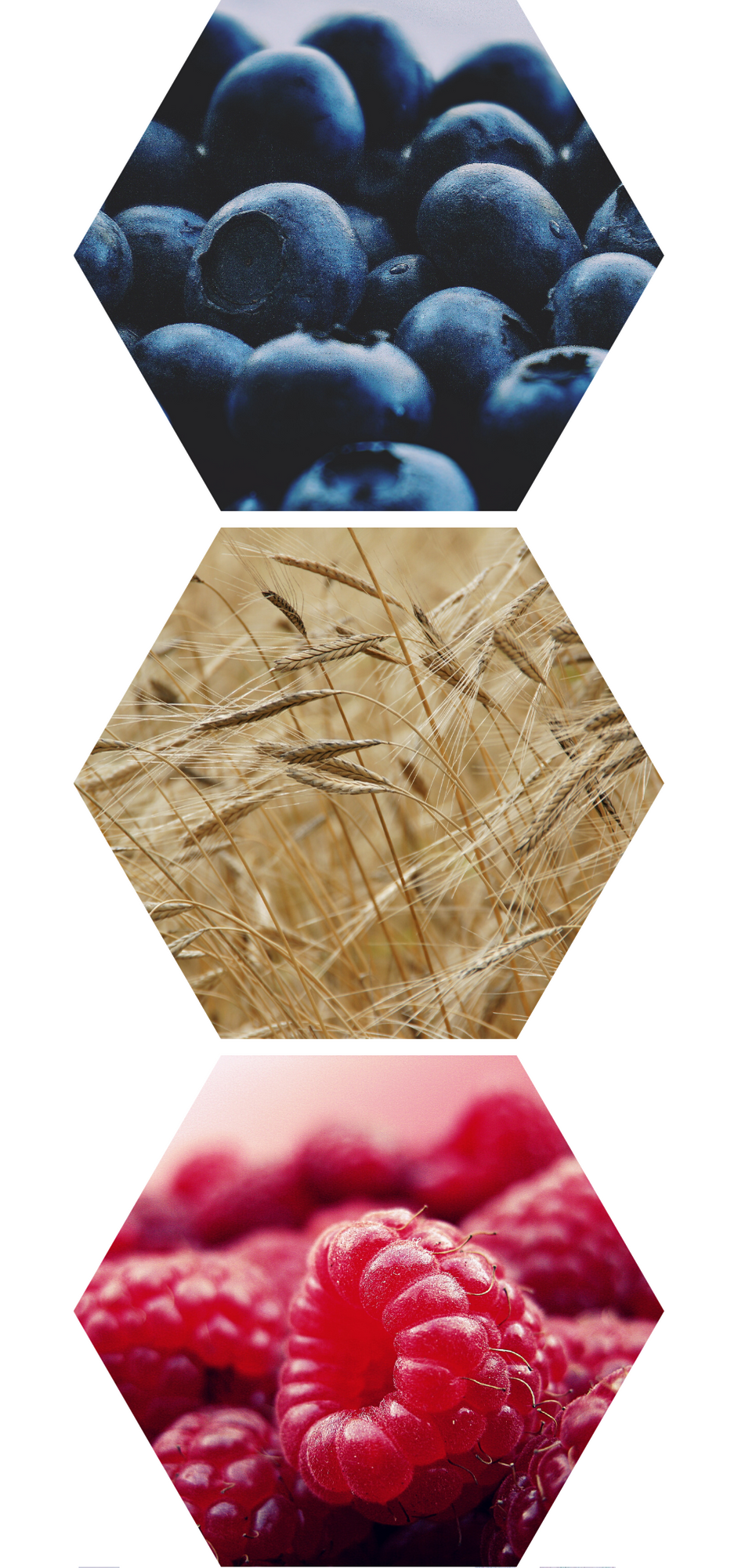 L&auml;hikuvat mustikoista, viljapellosta ja vadelmista.