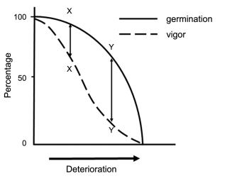 Kuva_siemenen elonj&auml;&auml;misk&auml;yr&auml;.JPG