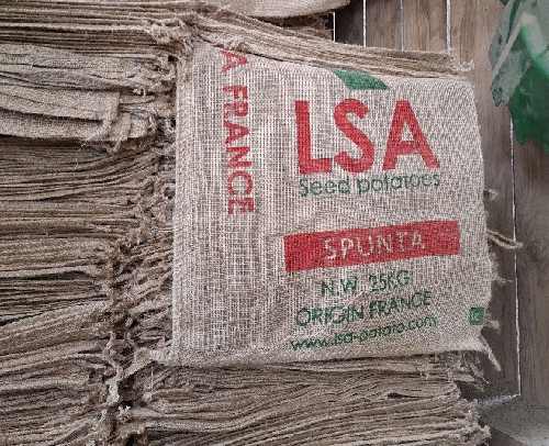  Siemenperunoita pakattuna juuttis&auml;kkeihin.