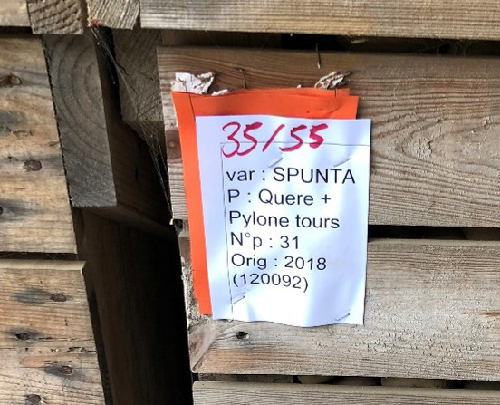 Varastolaatikossa siemenperunan pakkausmerkinn&auml;t.