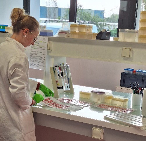 Rengasm&auml;t&auml;n&auml;ytteiden analysointia IF-levyilt&auml;.