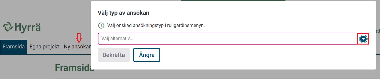 V&auml;lj typ av ans&ouml;kan