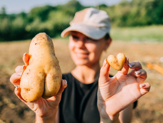 Henkilö näyttää perunoita.