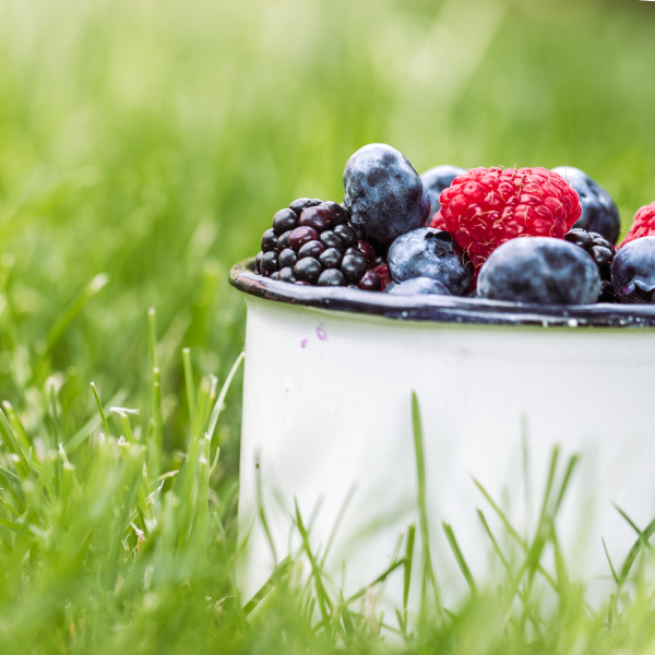 Nurmikolla marjoja astiassa
