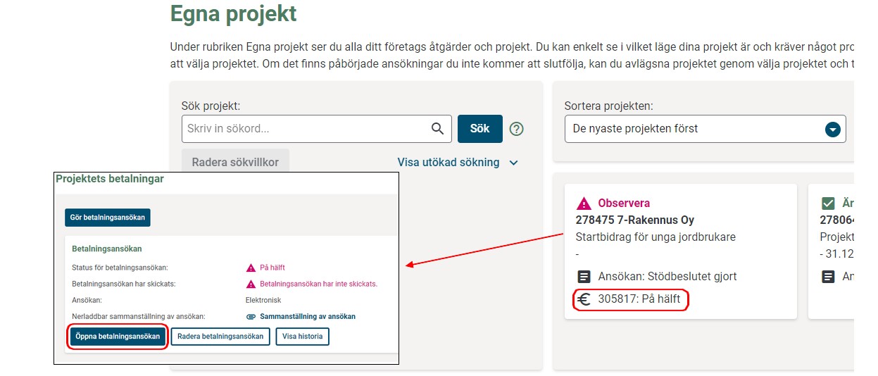 Att f&ouml;rts&auml;tta ifyllandet av en halvf&auml;rfig ans&ouml;kan