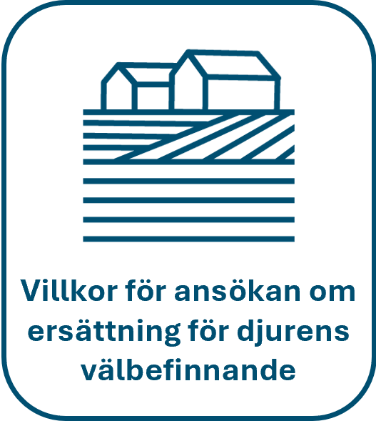 Ladugårdsikon och texten Villkor för ansökan om ersättning för djurens välbefinnande