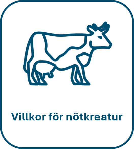 Koikon och texten Villkor för nötkreatur