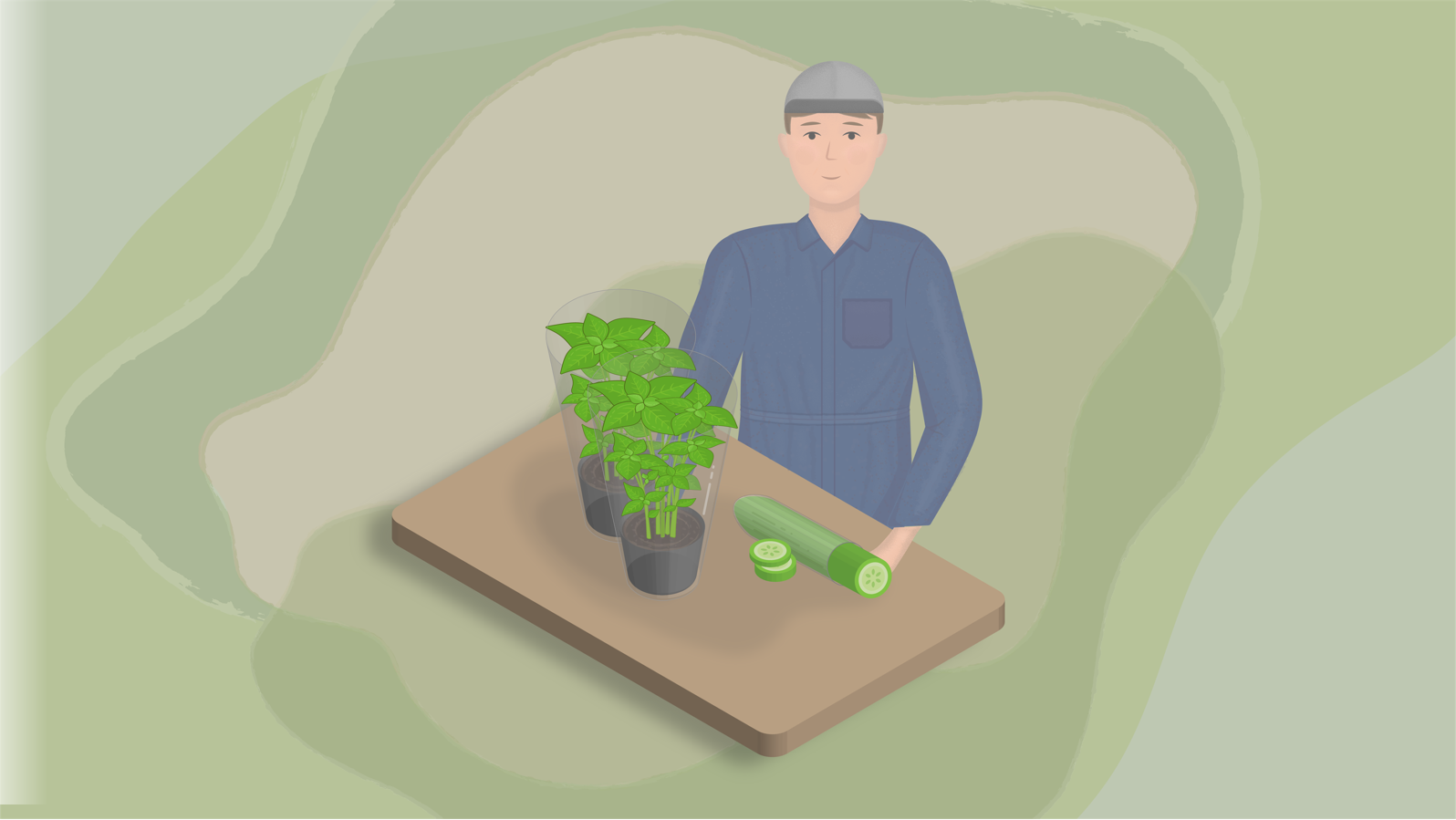 Puutarhuri paketoi viherkasvin ja kurkun muoviin.