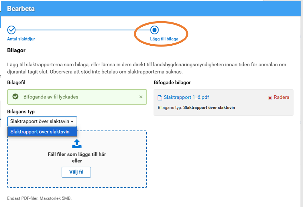 Sk&auml;rmbild fr&aring;n Viputj&auml;nsten.