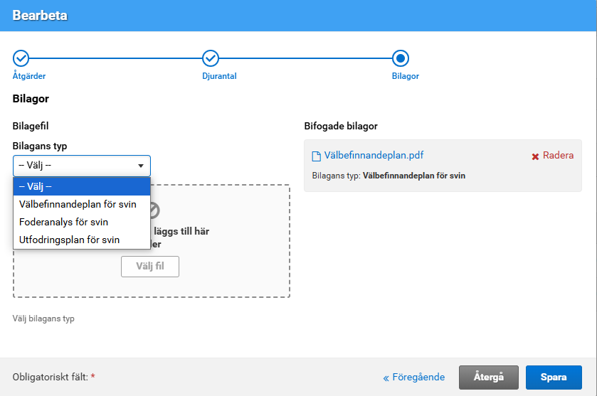 Sk&auml;rmbild fr&aring;n Viputj&auml;nsten
