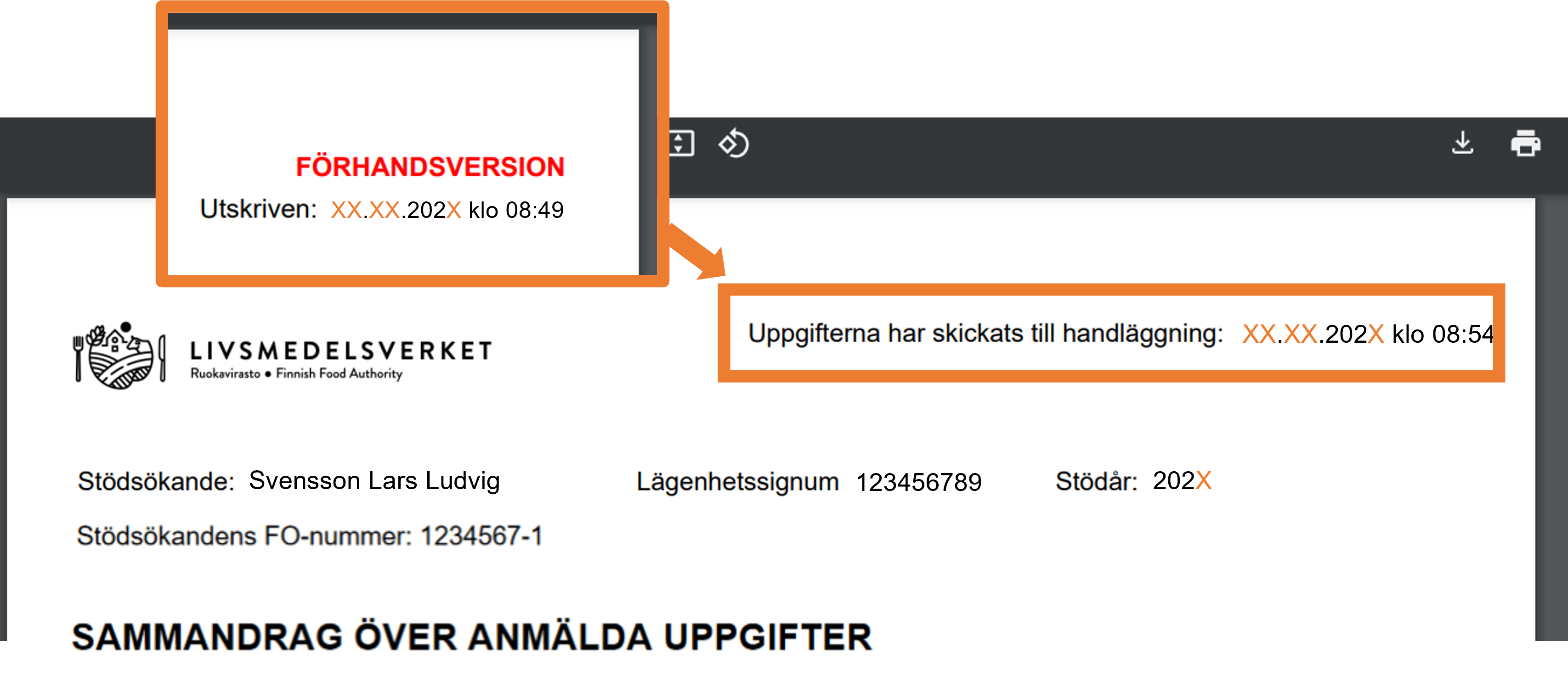 Sk&auml;rmbild fr&aring;n Viputj&auml;nsten.