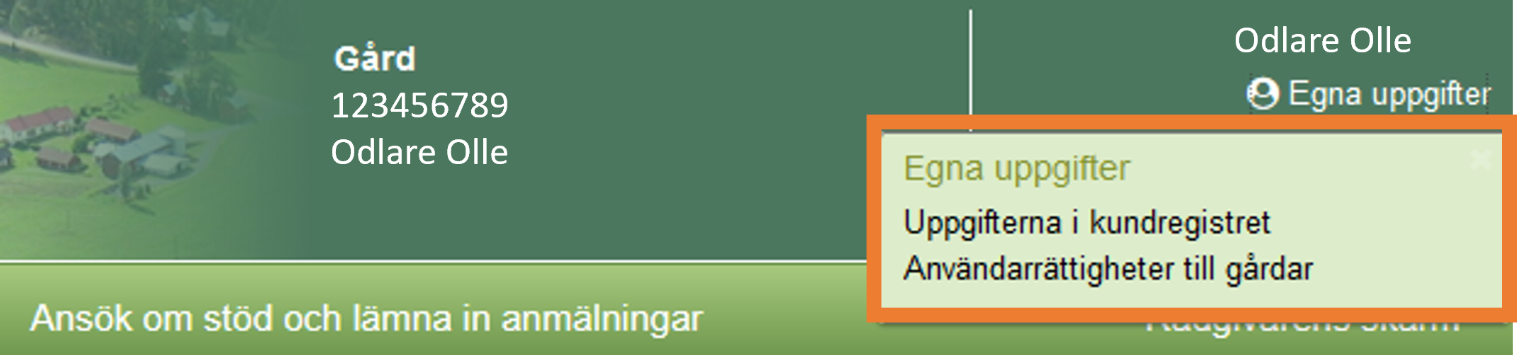 Sk&auml;rmdump fr&aring;n Viputj&auml;nsten Egna uppgifter