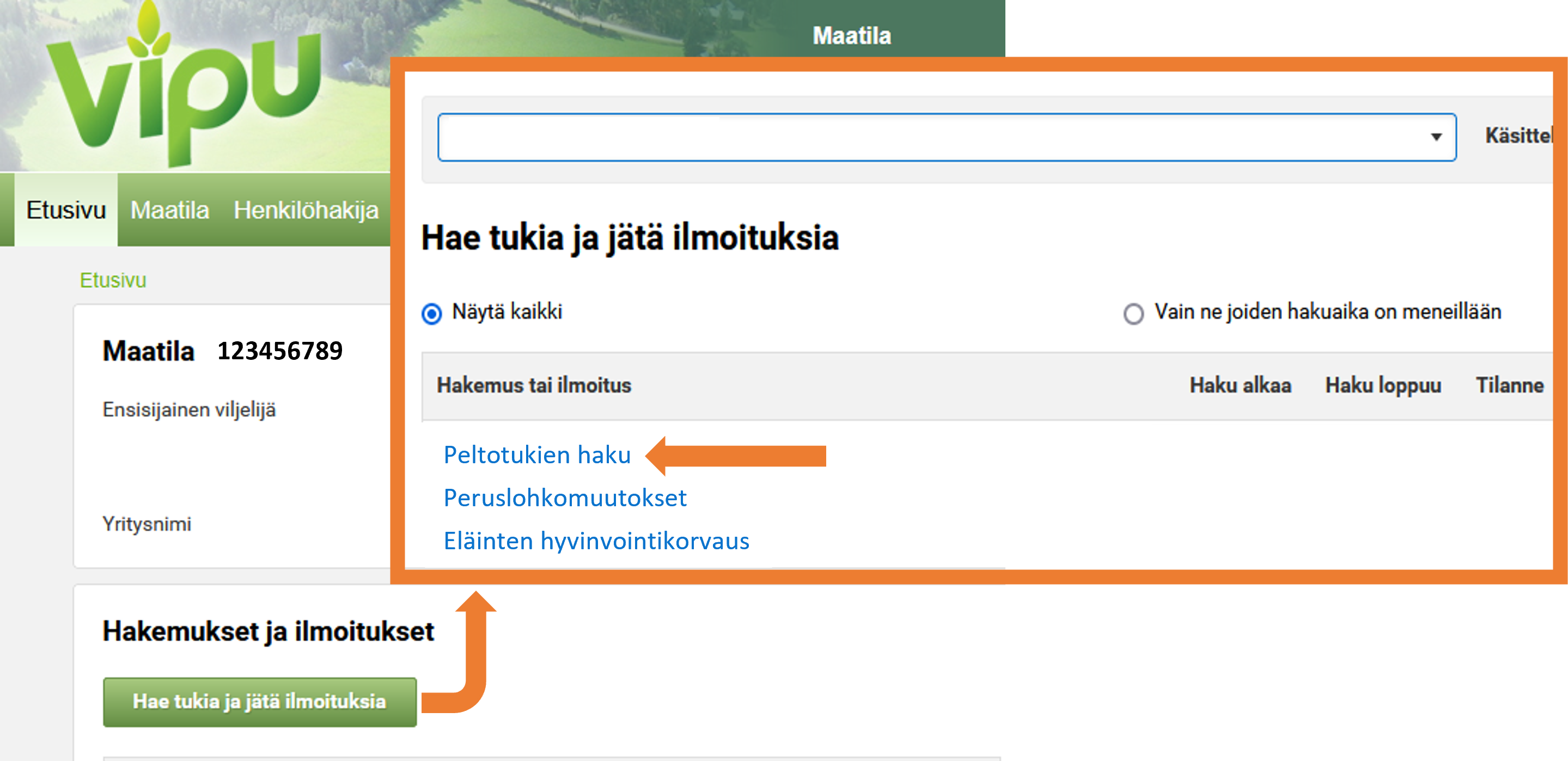 Kuvankaappaus Vipu-palvelun etusivulta.