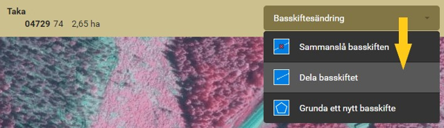 Sk&auml;rmdump fr&aring;n Viputj&auml;nsten: V&auml;lj verktyget Dela basskiftet under menyn f&ouml;r Basskiftes&auml;ndring.