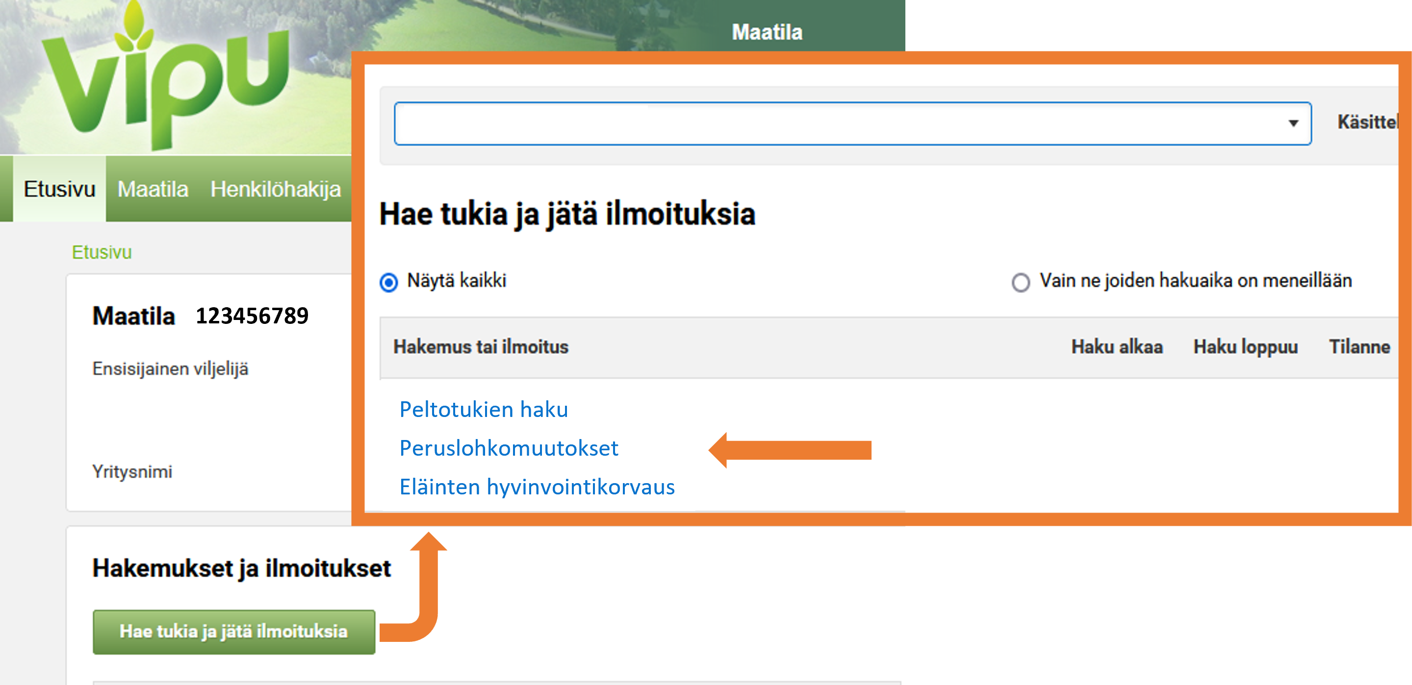 Kuvankaappaus Vipu-palvelusta