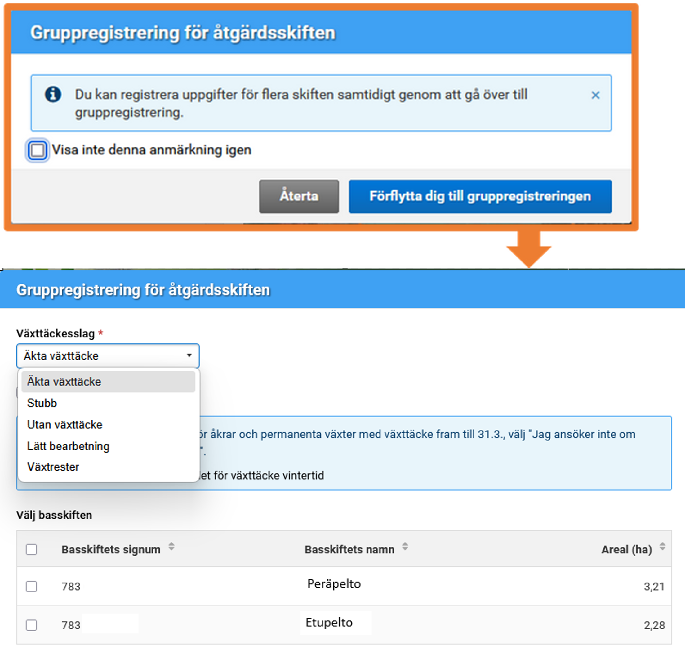 Sk&auml;rmbild fr&aring;n Viputj&auml;nsten.