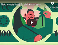 Infovideon kansi afrikkalaisesta sikarutosta mets&auml;st&auml;jille.