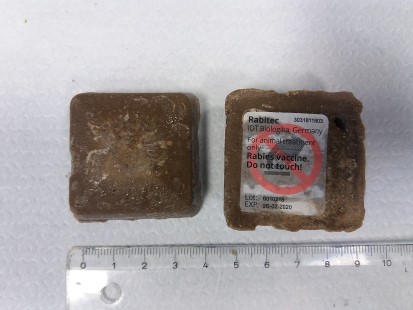 Rabitec sy&ouml;ttirokote