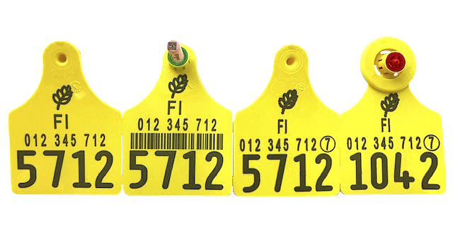 Naudan keltaisia korvamerkkej&auml;